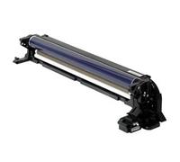 Ricoh D1862209 unidad imagen color