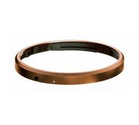 Ricoh Tapa anular GN-2 BZ