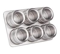 RICOO Botes Especias Magnéticos, GR001, Set de 6 Tarros de Acero Inoxidable para Almacenamiento y Organización de Especias, Diseño Elegante y Resistente, 22 x 15,5 x 4,7 cm