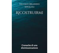 Ricostruirmi: Cronache di una disintossicazione