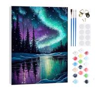 RICUVED Pintar por Números Aurora 20x30cm para Adultos con Marco de Madera -Paisajes Kit Completo de Pintura al Óleo, Pinceles y Lienzo para Crear y Decorar Tu Propio Cuadro