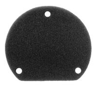 RIDE AND CUSTOM filtro de aire compatible con Yamaha Yp125 Majesty 125 1998-2000 filtro variador