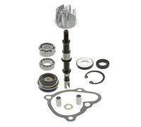 RIDE AND CUSTOM kit de revisión bomba de agua compatible con Kymco Kxr 250 2003-2004