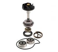 RIDE AND CUSTOM Kit de revisión Bomba de agua compatible con Piaggio X10 4T 4V Ie Euro3 125 2012-2015