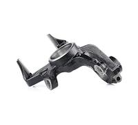 RIDEX 1159S0018 Mangueta de suspensión Delantero, izquierda Mangueta Mangueta Muñón del eje compatible con VW Polo V Hatchback 6R1, 6C1 Polo IV Hatchback 9N, 9A Fox Hatchback 5Z1, 5Z3, 5Z4, AUDI A2