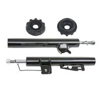 RIDEX 1185S0031 Juego de suspensión, amortiguador