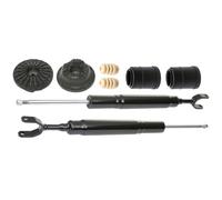 RIDEX 1185S0036 Juego de suspensión, amortiguador