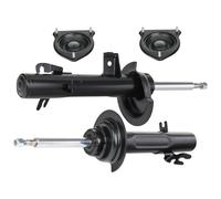 RIDEX 1185S0058 Juego de suspensión, amortiguador