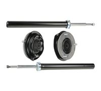 RIDEX 1185S0059 Juego de suspensión, amortiguador