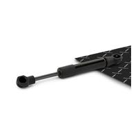 RIDEX 1207G0013 Muelle neumático, capota