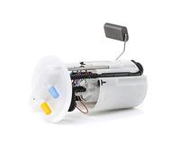 RIDEX 1382F0005 Unidad de alimentación de combustible eléctrico Compatible con CITROËN Jumpy I MPV U6U Gasóleo