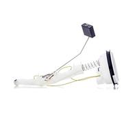 RIDEX 1382F0182 Unidad de alimentación de combustible compatible con BMW X5 E53