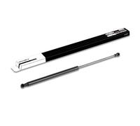 RIDEX 219G0253 Amortiguador de maletero