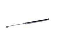 RIDEX 219G0569 Amortiguador de maletero Compatible con LAND ROVER Discovery III L319