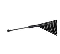 RIDEX 2454G0018 Muelle neumático Cristal trasero Aleta cristal Trasero Compatible con RENAULT Scénic 2 JM0/1