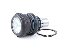 RIDEX 2462S0364 Rótula de suspensión Delantero abajo Compatible con RENAULT Clio 3 Hatchback BR0/1, CR0/1