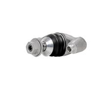RIDEX 2462S0636 Rótula de suspensión Delantero con grasa sintética Compatible con VOLVO V60 II 225, 227