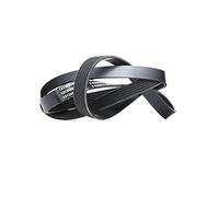 RIDEX 305B0285 Correa trapecial poli V Compatible con VW Transporter T4 Bus 70B, 70C, 7DB, 7DK, 70J, 70K, 7DC, 7DJ
