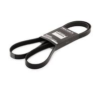 RIDEX 305B0286 Correa trapecial poli V Compatible con FORD MONDEO IV Turnier BA7