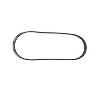 RIDEX 305P0014 Correa trapecial poli V compatible con VW Golf IV Hatchback 1J1