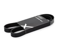 RIDEX 305P0061 Correa trapecial poli V Compatible con VW Lupo/Lupo 3L 6X1, 6E1