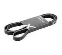 RIDEX 305P0119 Correa trapecial poli V Compatible con VW Transporter T4 Bus 70B, 70C, 7DB, 7DK, 70J, 70K, 7DC, 7DJ
