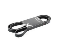 RIDEX 305P0119 Correa trapecial poli V Correa Poly V Correa poli V Correa de accesorios compatible con VW Transporter T4 Bus 70B, 70C, 7DB, 7DK, 70J, 70K, 7DC, 7DJ LT 28-35 II Autobús 2DB, 2DE, 2DK