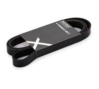 RIDEX 305P0169 Correa trapecial poli V Compatible con AUDI A3 Sportback 8PA
