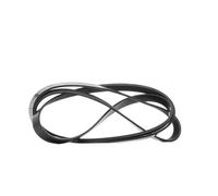 RIDEX 305P0478 Correa trapecial poli V Correa Poly V Correa poli V Correa de accesorios compatible con VOLVO V60 155, 157, JEEP CHEROKEE KK, DODGE Nitro SUV