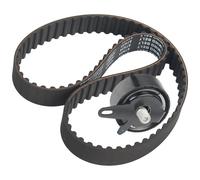 RIDEX 307T0201 Kit de correa de distribución para VW Passat B5 Variant (3B5)