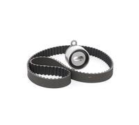 RIDEX 307T0204 Kit de correa de distribución para AUDI A3 Sportback (8VA, 8VF)