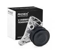RIDEX 310T0002 Polea tensora correa poli V Compatible con VW Passat B5 GP Variant 3BG, 3B6