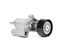 RIDEX 310T0048 Polea tensora correa poli V compatible con FIAT Scudo Familiar 220 Scudo Furgón 220 ULYSSE 220 SCUDO Caja/Chasis 220, PEUGEOT 206 Fastback 2A/C Partner I Combispace 5, G