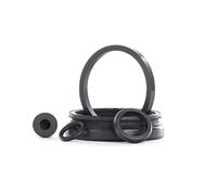 RIDEX 405R0078 Juego de reparación pinza de freno Eje trasero compatible con VW Polo IV Hatchback 9N, 9A GOLF II 19E, 1G1 Transporter T4 Bus 70B, 70C, 7DB, 7DK, 70J, 70K, 7DC, 7DJ GOLF III 1H1