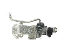 RIDEX 4198E0002 Modulo EGR