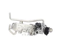 RIDEX 4198E0003 Modulo EGR