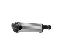 RIDEX 468I0091 Intercooler para BMW X3 (E83)