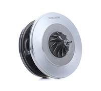 RIDEX 4973C0020 Conjunto piezas turbocompresor