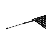 RIDEX 514G0062 Amortiguador de capó Atrás Izquierda Atrás Derecha Compatible con FORD FOCUS III