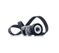 RIDEX 542R0008 Juego de correas trapeciales poli V