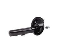 RIDEX 854S0341 Amortiguador Delantero Derecha Compatible con PEUGEOT 206 Fastback 2A/C