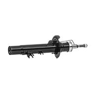 RIDEX 854S0534 Amortiguador Delantero, derecha Presión de gas Amortiguadores compatible con RENAULT LAGUNA II BG0/1, FIAT Doblo Cargo 223, PEUGEOT 1007 KM, CITROËN C3 Picasso SH