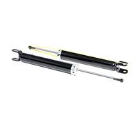 RIDEX 854S0891 2x Amortiguador Trasero Presión de gas Amortiguadores