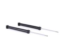 RIDEX 854S1543 Amortiguador