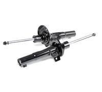 RIDEX 854S1546 Amortiguador