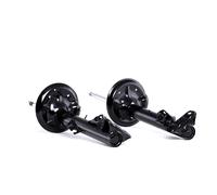 RIDEX 854S1598 Amortiguador