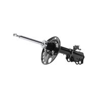 RIDEX 854S17915 Amortiguador