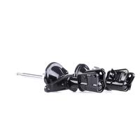 RIDEX 854S1865 Amortiguador