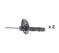 RIDEX 854S19320 Amortiguador