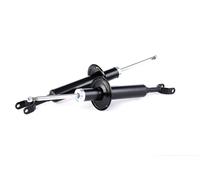 RIDEX 854S1997 Amortiguador